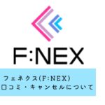 フェネクス(FNEX)フィギュアの評判・口コミまとめ！キャンセルできない？