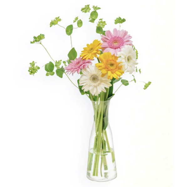 葬送のフリーレン 花の定期便は印象的なシーンに登場する花をリアルな花束としてお届け